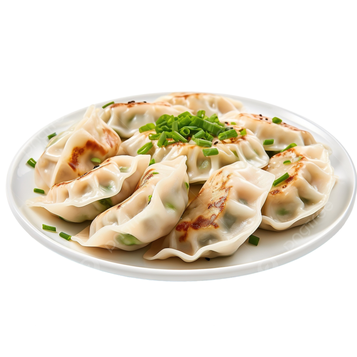 Mandu_food_image