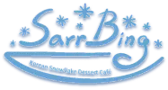 sarrbing logo